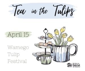 Tea in the Tulips